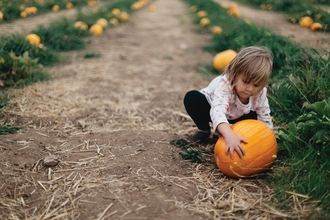 Child with pumpkin in field