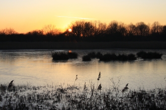 Sunset at Potteric Carr Credit Adrian Gray