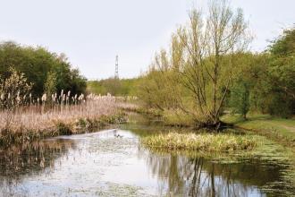 Dearne Valley Country Park
