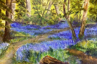 Bluebells in Sandall Beat Wood by Rosemary Millican
