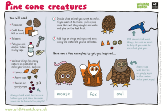 How to make pine cone creatures
