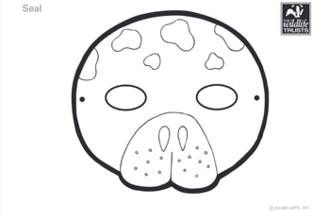 Outline for a seal mask to colour in and cut out