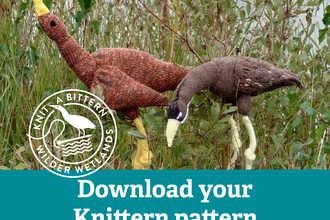 Two knitted bitterns stood in long grass. Download your free Knittern pattern.