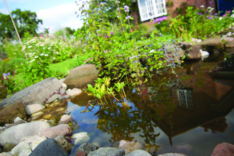 ground view of a garden pond with pebbles around the edge and the house in the background