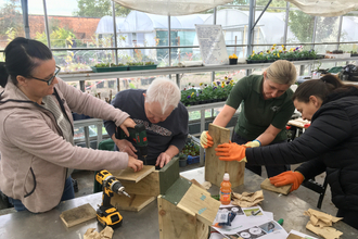 A group of four people using power tools to build birdboxes.