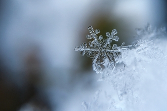 Focused image of a snowflake