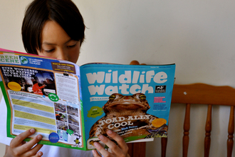 Boy sat reading a Wildlife Watch magazine