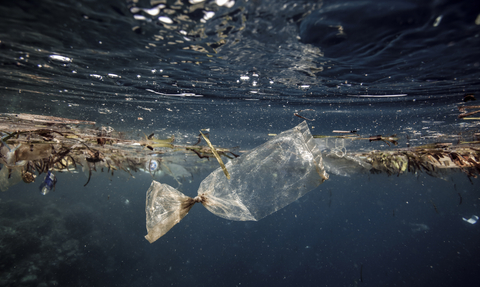 Plastic bag drifting underwater 