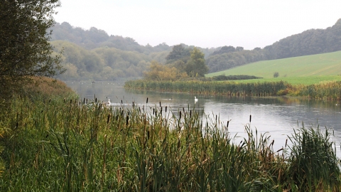 Sprotborough Flash Nature Reserve Credit Peter Dawson