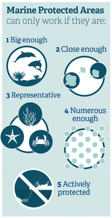 Marine Protected Area infographic