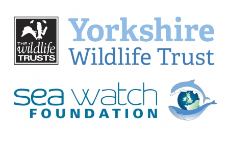 Yorkshire Wildlife Trust and Sea Watch foundation logos