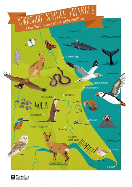 Yorkshire nature triangle wildlife map