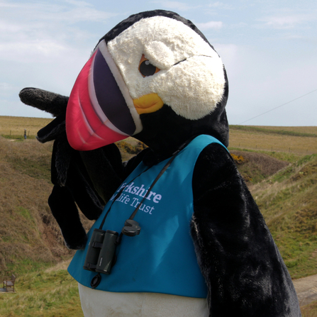 Our puffin mascot, Cliff doing a spot of bird watching at Flamborough's North Landing