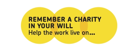 Remember a charity week logo