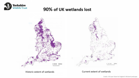 Map showing 90% of the UK's wetlands disappearing