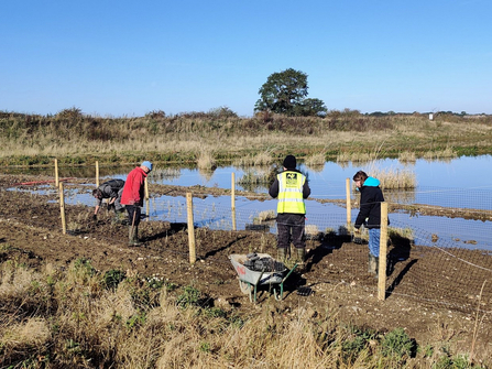 Volunteers planting reeds at North Cave Wetlands - Photo by Paul Wray