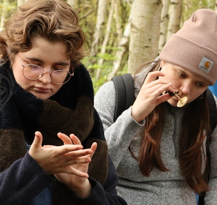 YWT volunteers sniffing a common funnel fungus