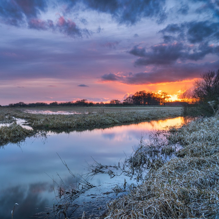 The sun rising over a beck at Wheldrake Ings nature reserve. The sky is illuminated pink, purple and blue.