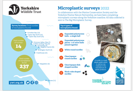 2022 microplastic infographic