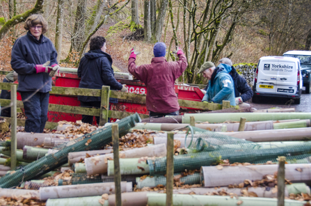 Volunteers removing tree guards as part of woodland management - Sara