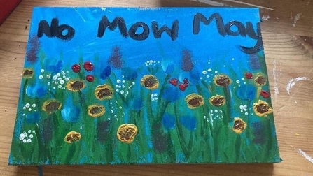 Hand painted sign of long grass with the words No Mow May