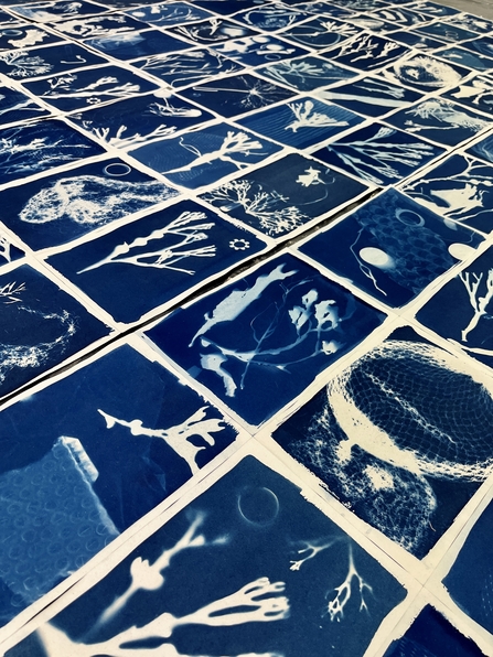 Close up shot of Cyanotype prints on a table