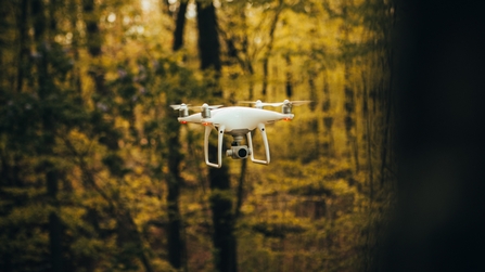 A white drone flying in a woodland