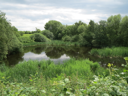View of the pond through the woodland at a nature reserve.