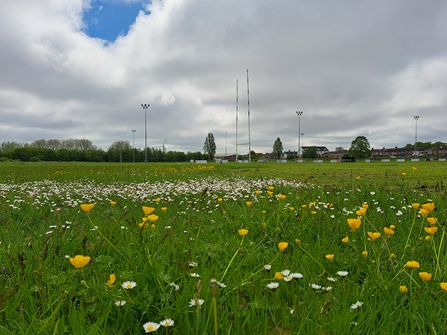A field of wildflowers in the foreground with rugby posts in the background