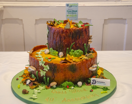 Grass Wood Celebration Cake - TOS Sara