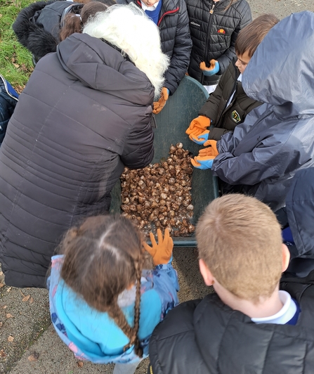 Group of people huddled round a wheelbarrow of bulbs ready to plant out