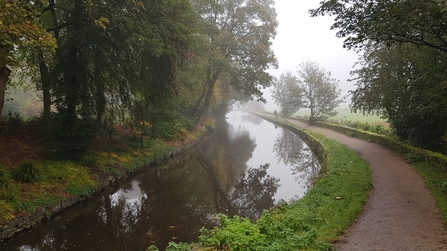 The Huddersfield Narrow Canal - Howard Roddie