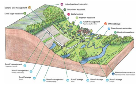 A diagram showing natural flood management measures across a river catchment