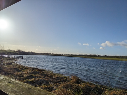 View of a lake on a nature reserve on a sunny winter's day