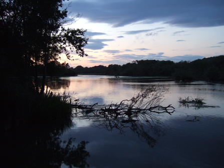 View across the lake at sunset on a wetland nature reserve.