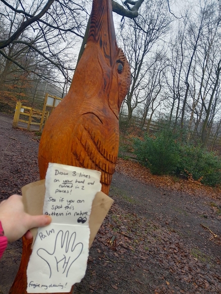 Wood carving of a kingfisher. In front is a person holding out the card with a task on saying draw three lines on your hand and connect them in two places. Then look for this pattern in nature as you walk through the woods.