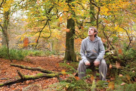 Man sitting on a tree stump in an autumn woodland looking up to the sky and into the trees.