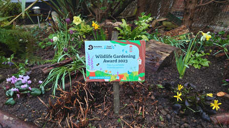 Stumpery with wildlife gardening award displayed on a short  posted and pushed into the ground