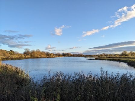 A large pool of water reflects the blue sky, with reeds in the foreground