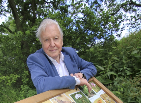 David Attenborough at Askham Bog