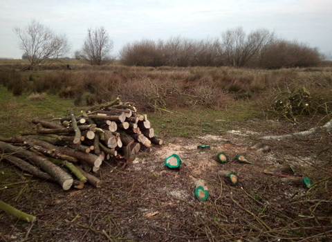 Scrub clearing at Barmby on the Marsh