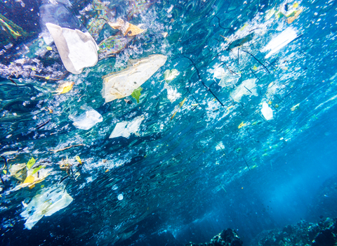 Underwater image of Plastic Pollution in the Ocean