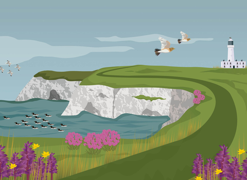 Illustration of Flamborough Cliffs with lighthouse, white cliffs, purple flowers and birds flying overhead