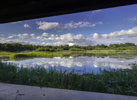 A view of a wetland at Potteric Carr Nature Reserve.