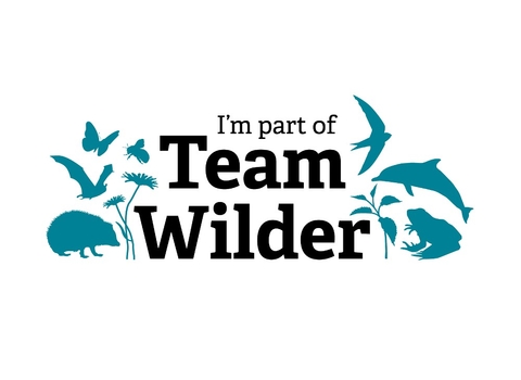 A graphic that says 'I'm part of Team Wilder'.