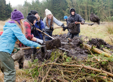 Group of young people in a field creating a wildlife habitat with bracken and fallen timber.