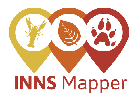 The INNS Mapper logo