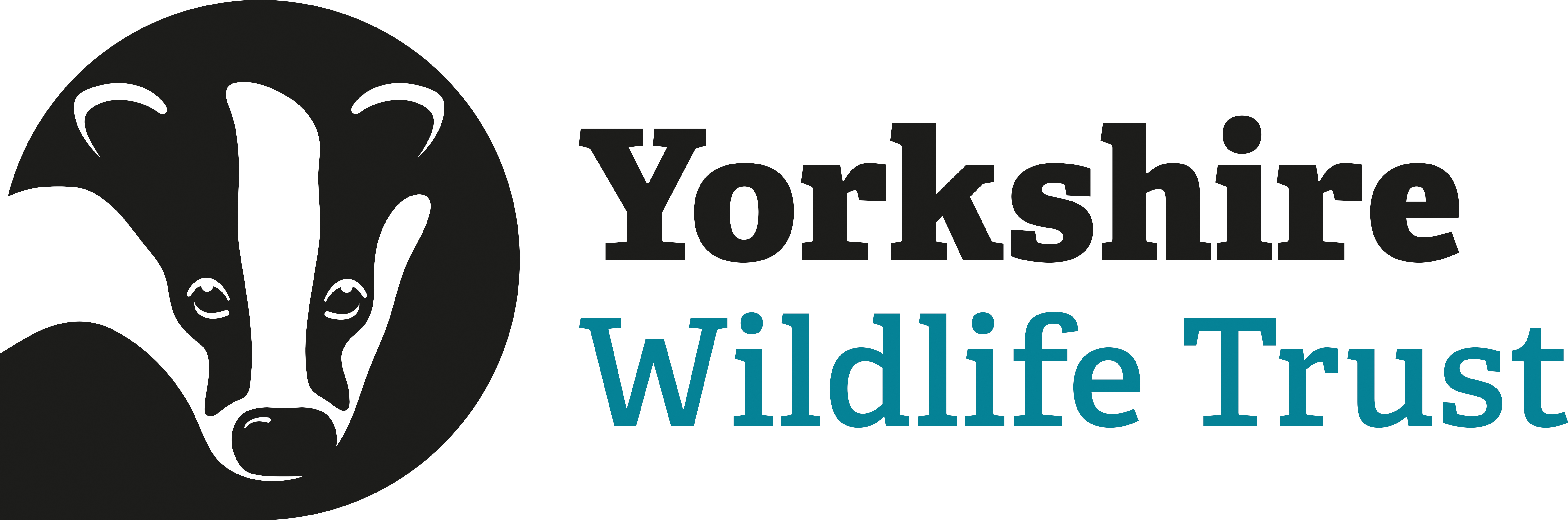 Company Logo 1