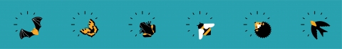 Hero species header