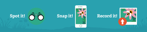 Spot it snap it record it icon